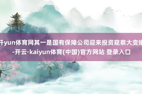 开yun体育网其一是国有保障公司迎来投资窥察大变嫌-开云·kaiyun体育(中国)官方网站 登录入口