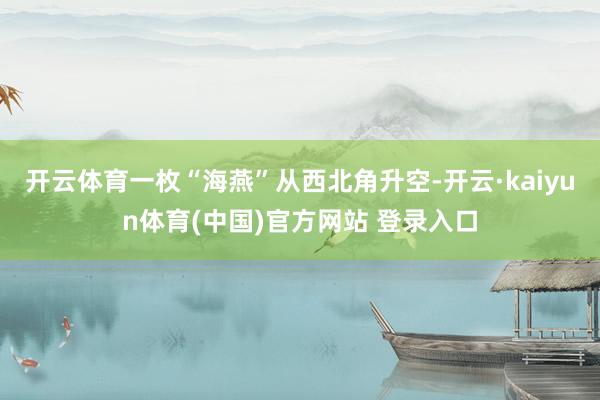 开云体育一枚“海燕”从西北角升空-开云·kaiyun体育(中国)官方网站 登录入口