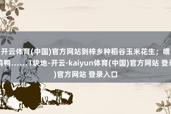 开云体育(中国)官方网站到梓乡种稻谷玉米花生；喂猪喂鸡鸭……1块地-开云·kaiyun体育(中国)官方网站 登录入口